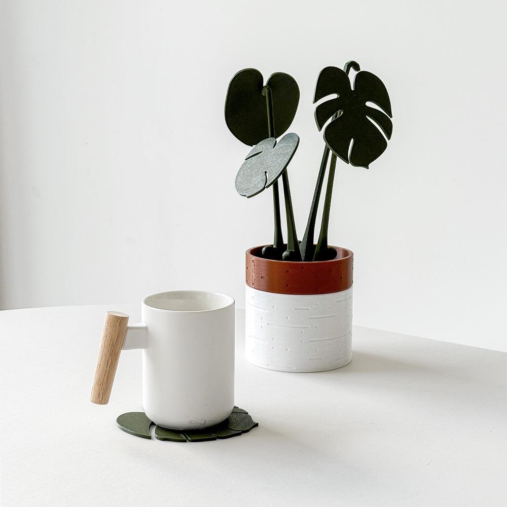 몬스테라 화분 티코스터