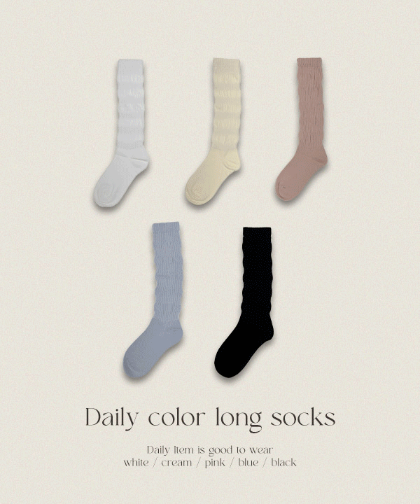 #11382, [모델소장] 데일리 쫀쫀골지 컬러 양말 : 5color