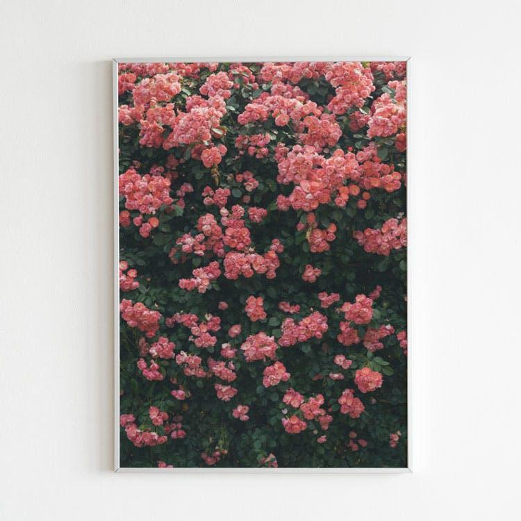 Vintage Rose Poster
