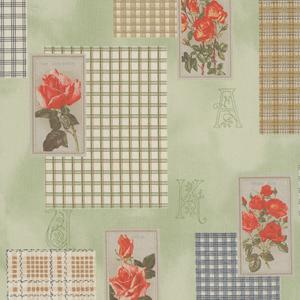 [YUWA] 고노사나에-513