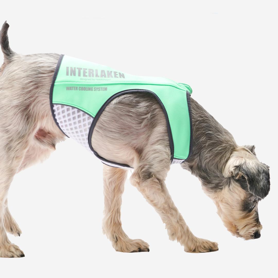 인터라켄 강아지 쿨링 여름조끼 베스트 쿨조끼 워터쿨링 시스템 S사이즈