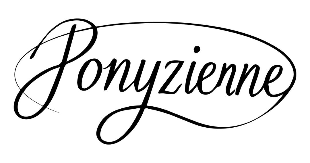 MaisonModernArtMuseum - [기획] PONYZIENNE_탄탄 고밀도 시그니처 셔츠