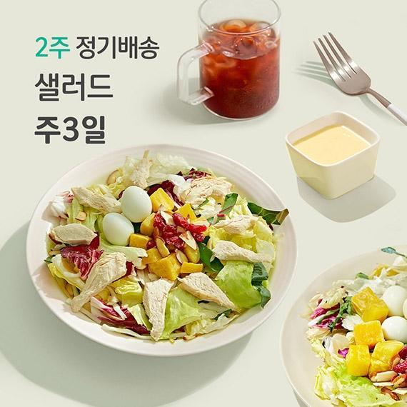 2주 정기배송 샐러드 주 3팩
