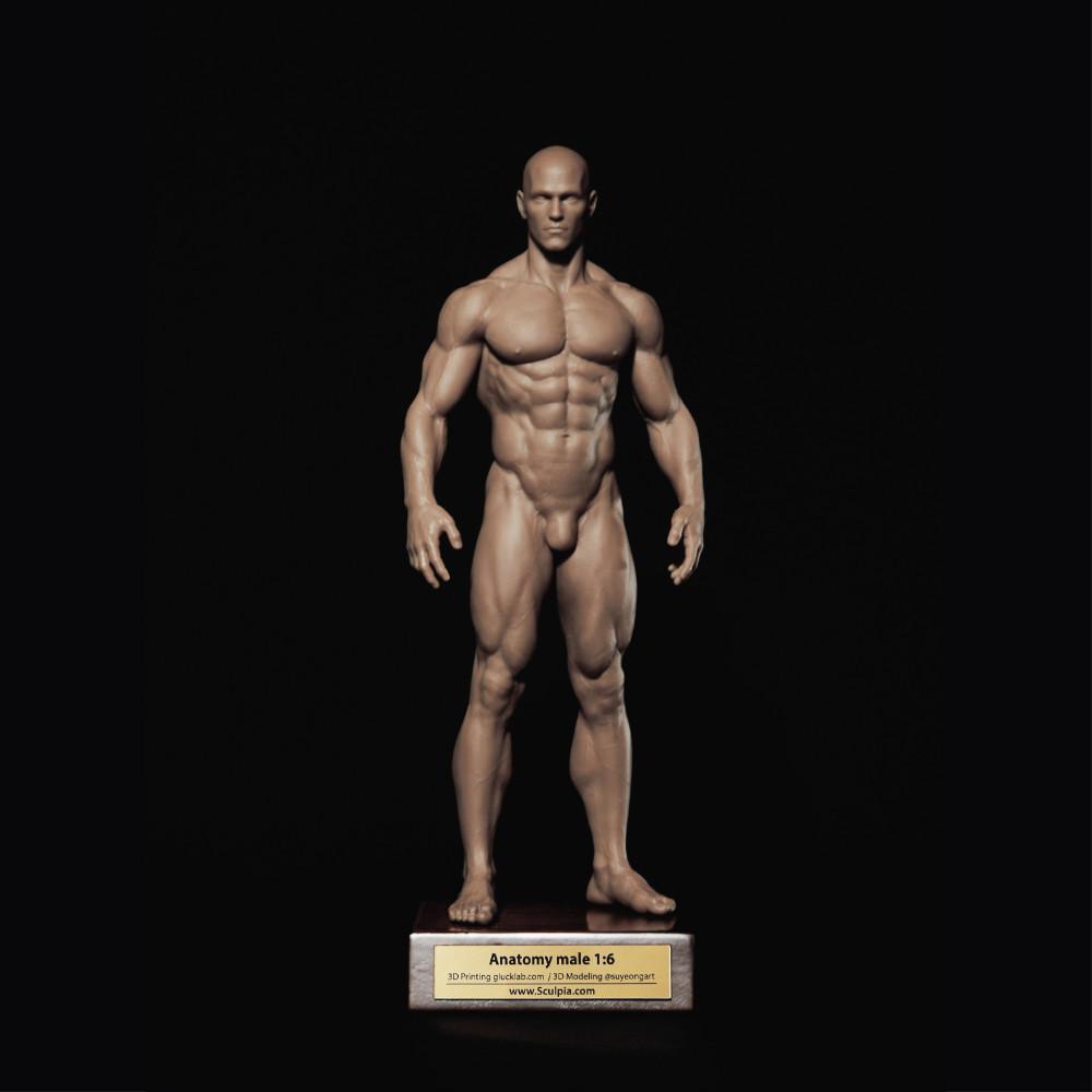 스컬피아 인체모형 아나토미 피규어 (3D Printed 1/6 scaled) (K_M1)