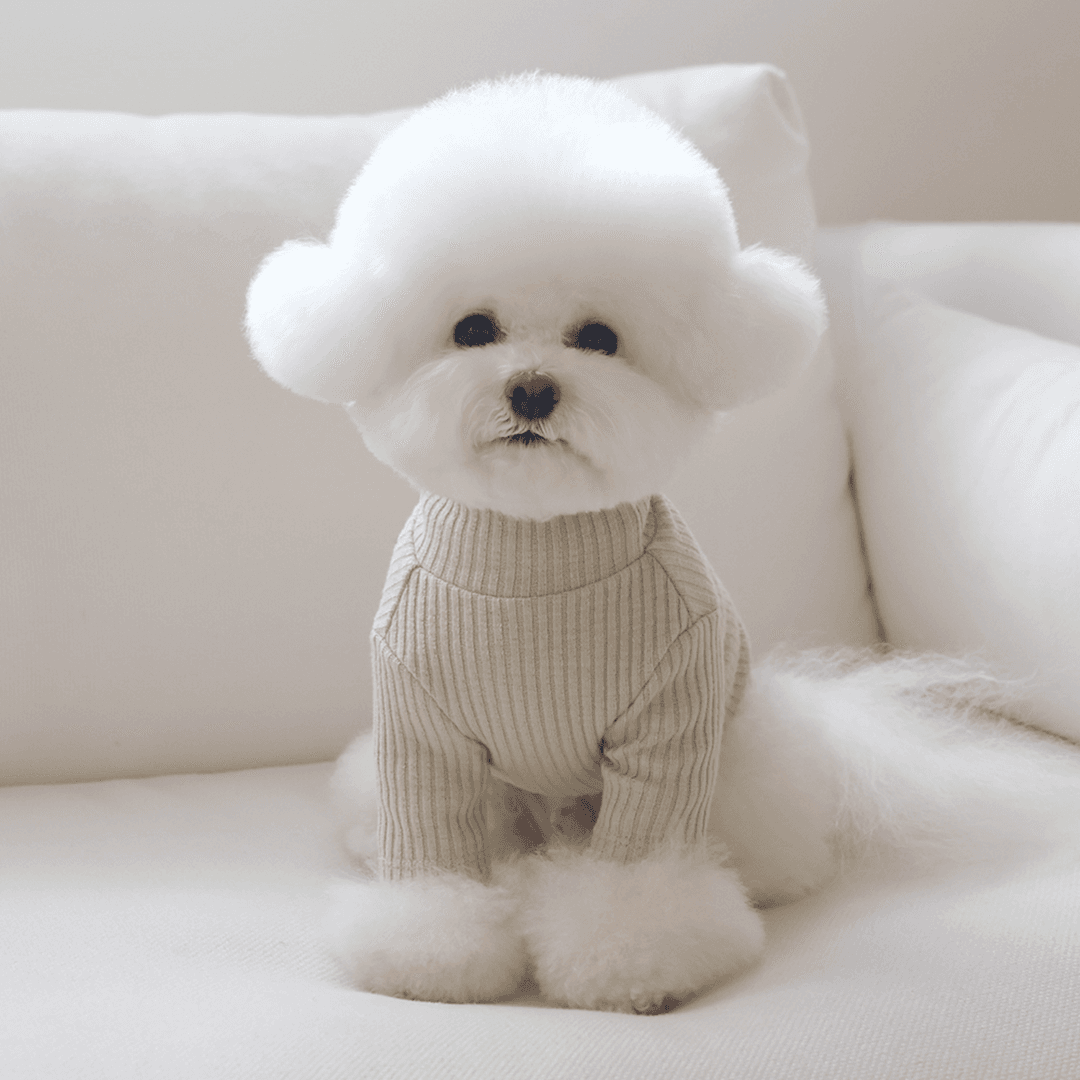 basic turtleneck (greentea)