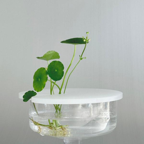 005. 수경 이케바나 키트