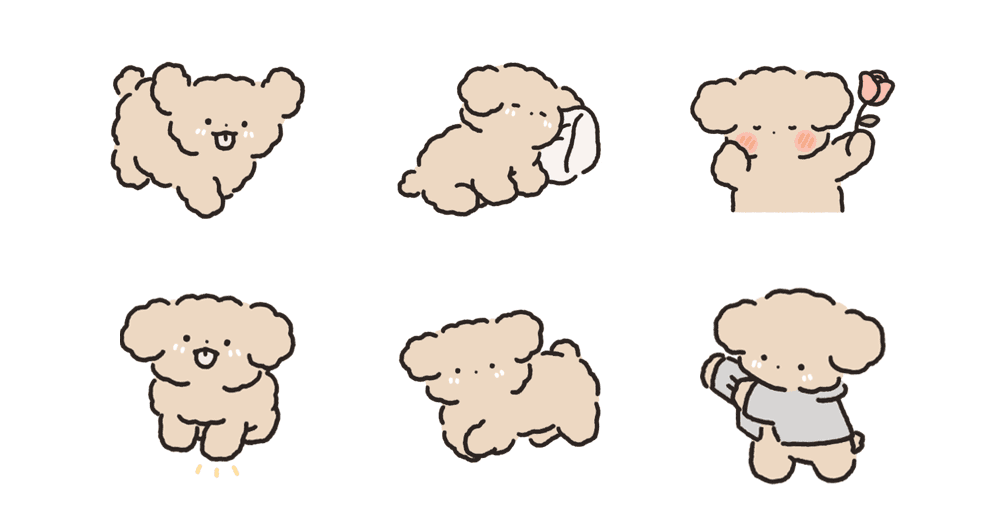 복슬복슬 아기푸들이랑 놀아주세요! 7