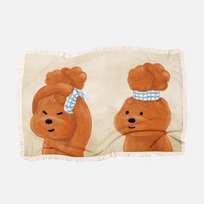 Hair Style 극세사 담요