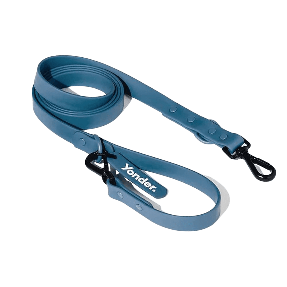 Yonder Dog Leash