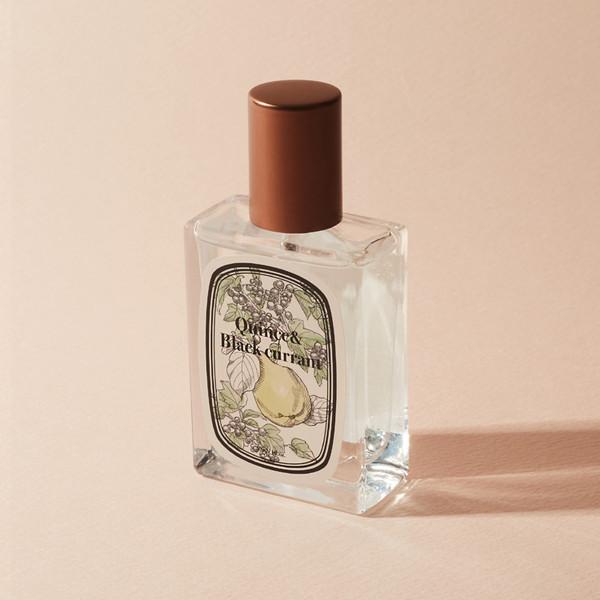 quince & blackcurrant | 퀸스&블랙커런트 | 모과 우디