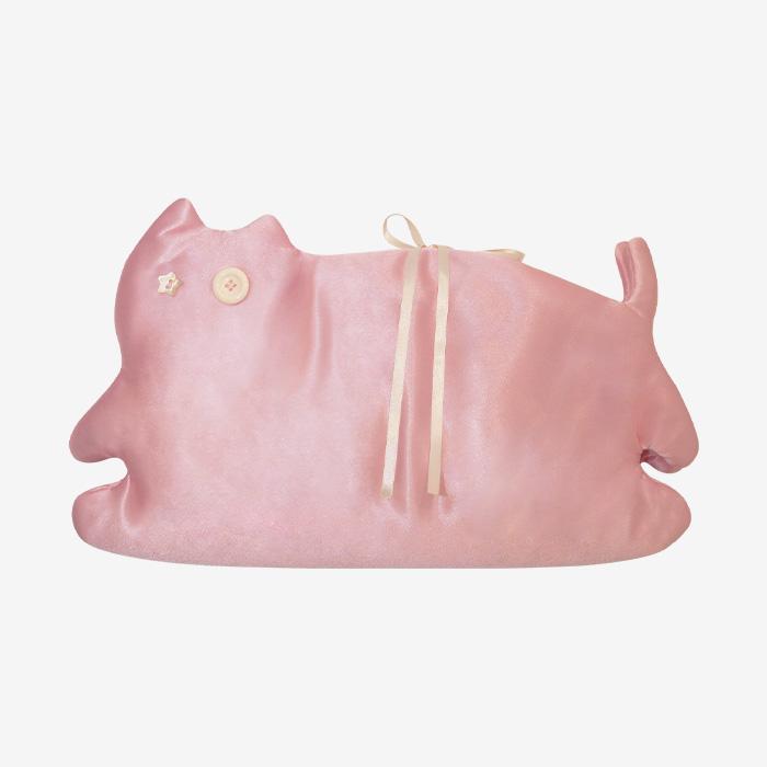 Cat book cover _ strawberry