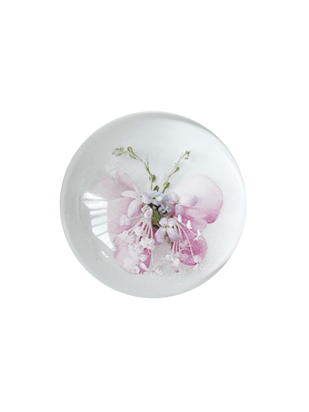 Mongsang Nabi Tok - Spring