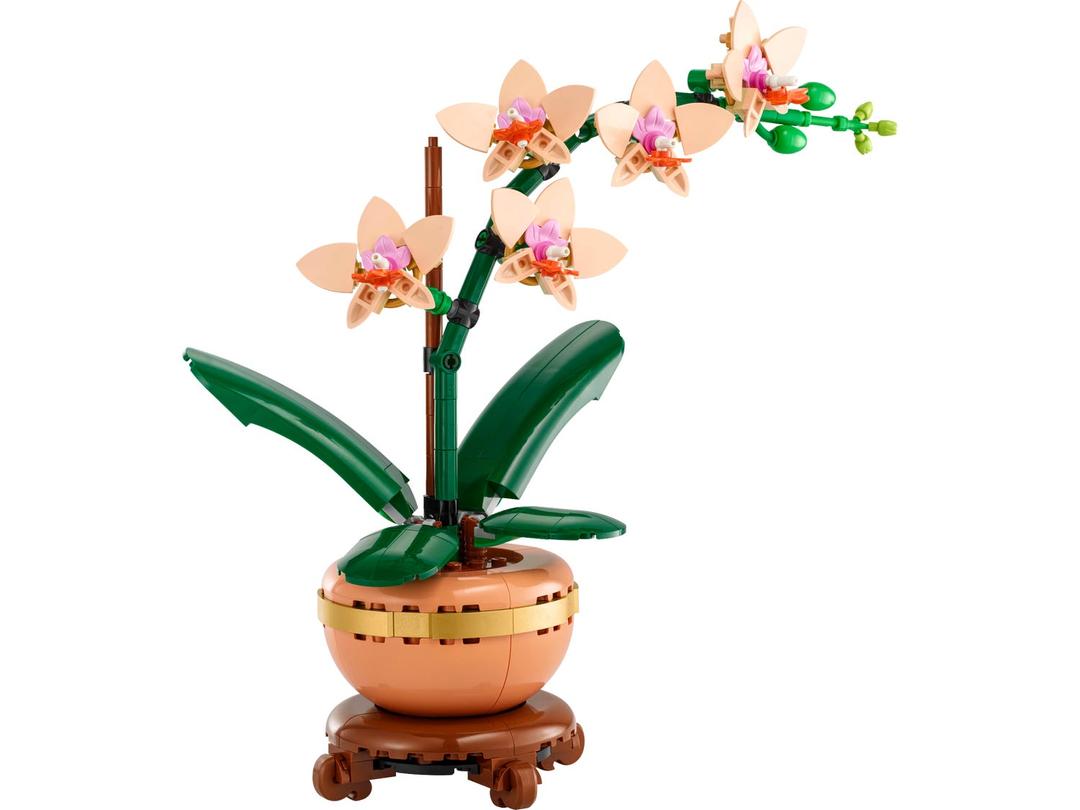 미니 난초 10343 | The Botanical Collection | LEGO® Shop KR
