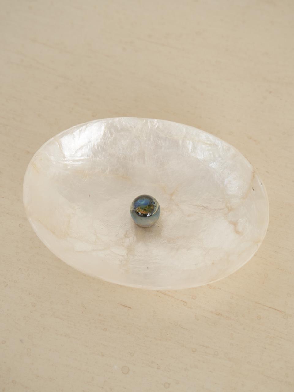 shell tray