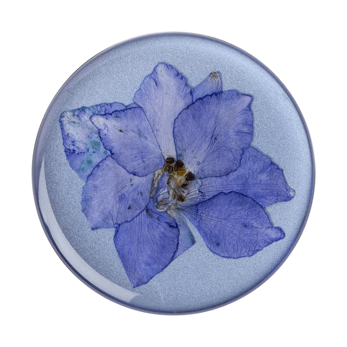 Pressed Flower Larkspur Purple