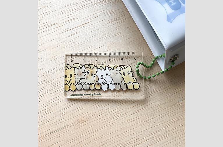 [원모어백] 지하철 고양이 아크릴 자 키링 (with 가벼운 친구들)