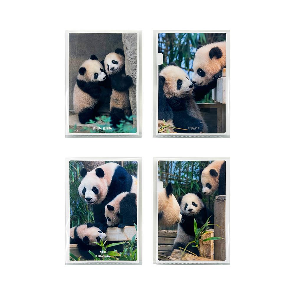 판다 바오패밀리 아루후 L홀더 2P