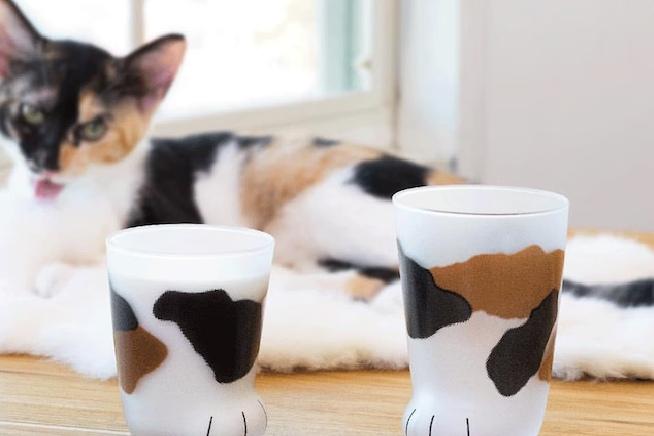 [NEW] 코코네코 고양이발컵 모음전 (230ml/300ml)