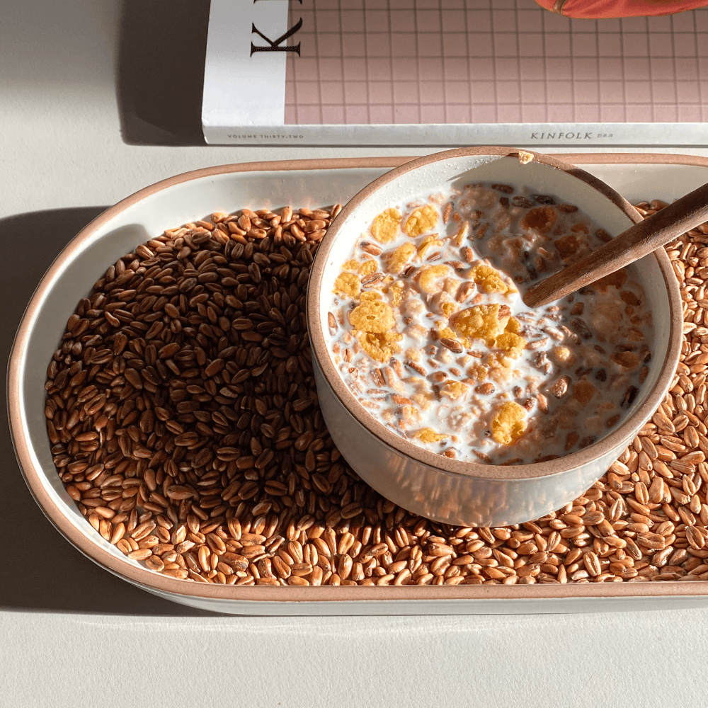 방앗간청년 압력으로 쪄서 볶은 식사대용 미숫가루 4종 세트