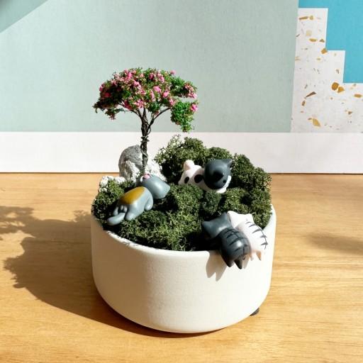 고양이와 철쭉이있는 스칸디아모스 세라믹 화분세트