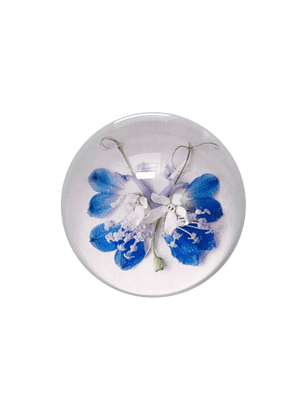 Mongsang Nabi Tok - Winter