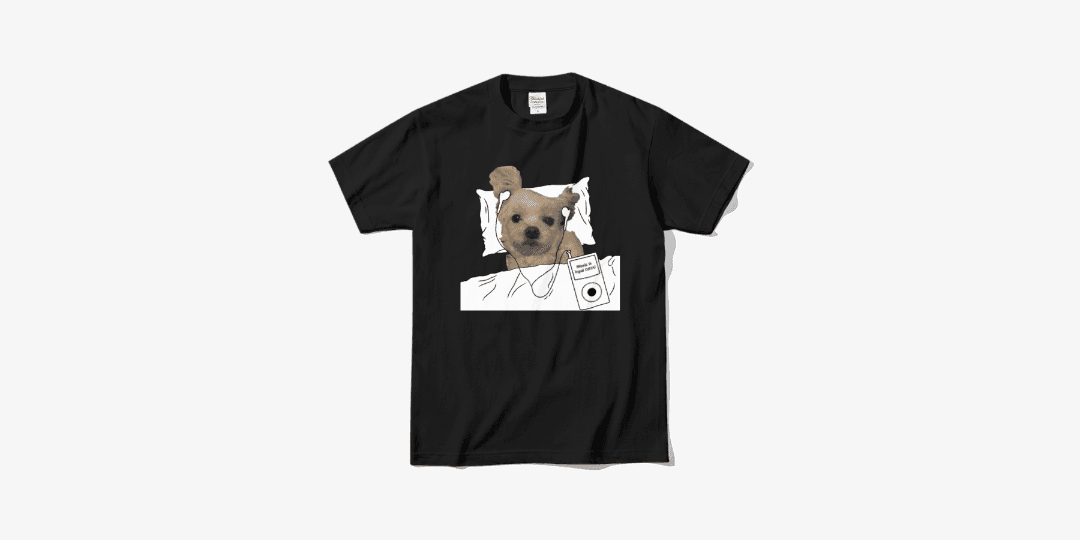 음악에 취해보견