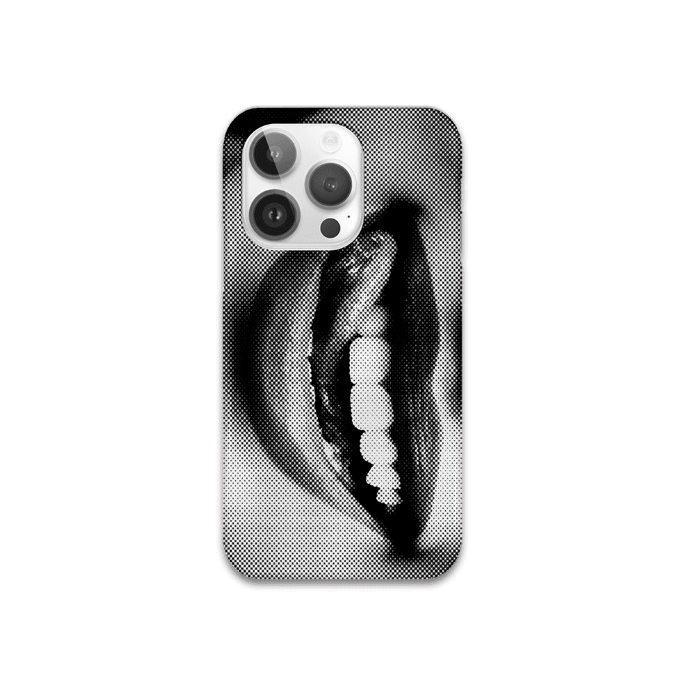 Vintage lip 무광 하드 케이스 아이폰 15 프로 맥스