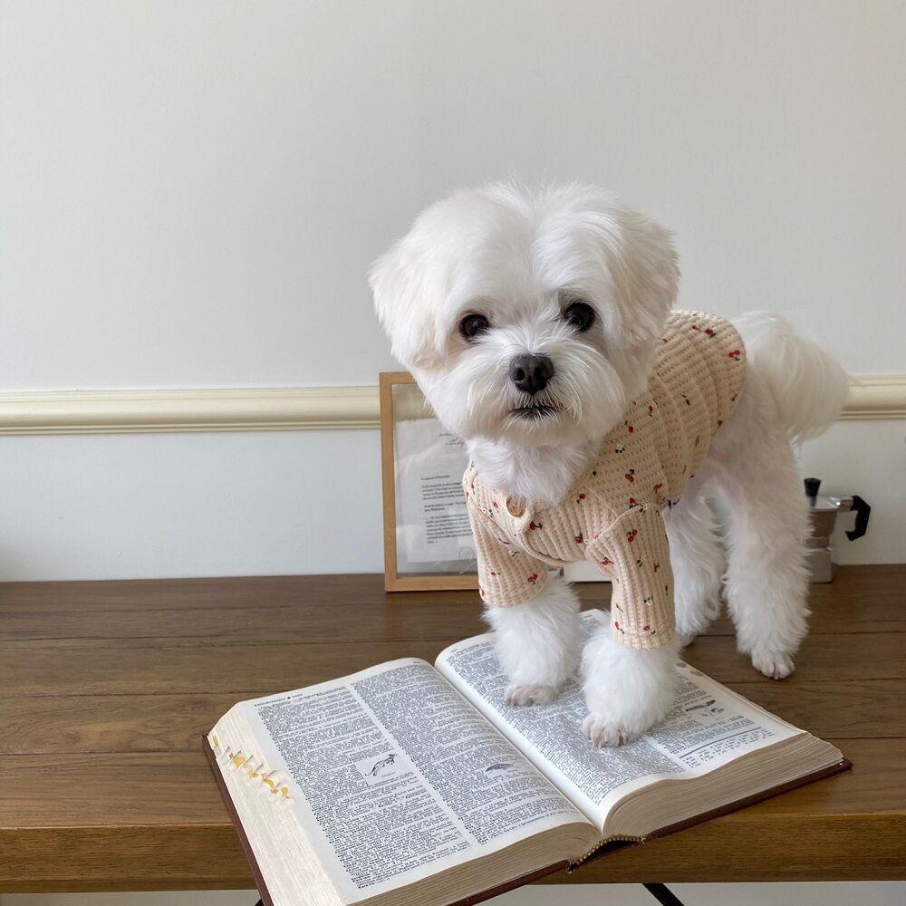 꽃체리 와플 가디건_베이지