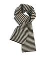 TCM mini logo stripe muffler (brown/cream)