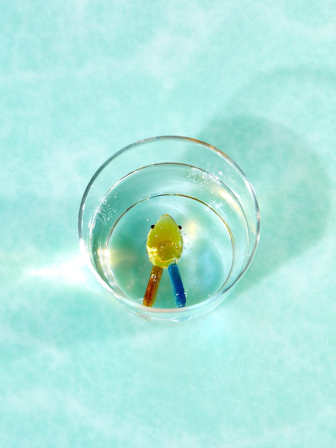Animal Farm Tumbler - Fish
