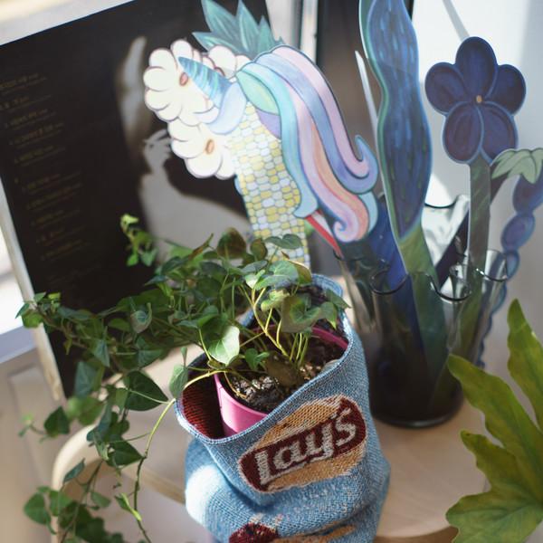 SNACKS POTCOVER