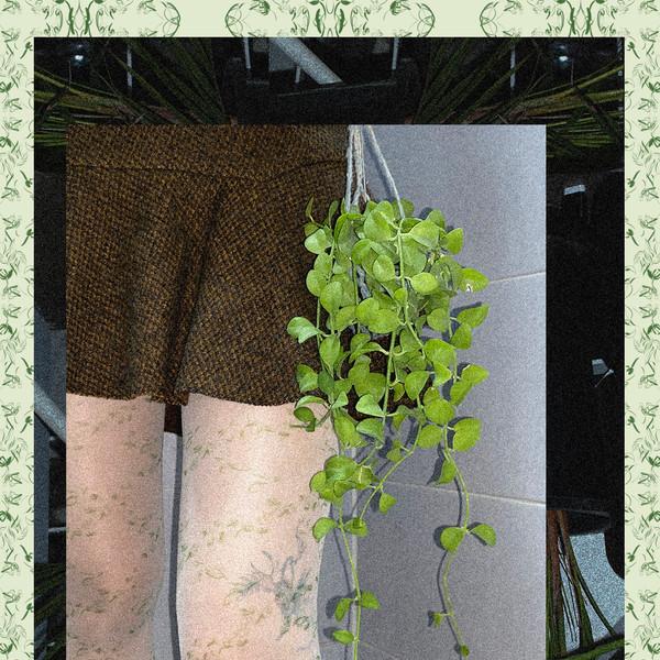[Garden Drawings] Green Check tights