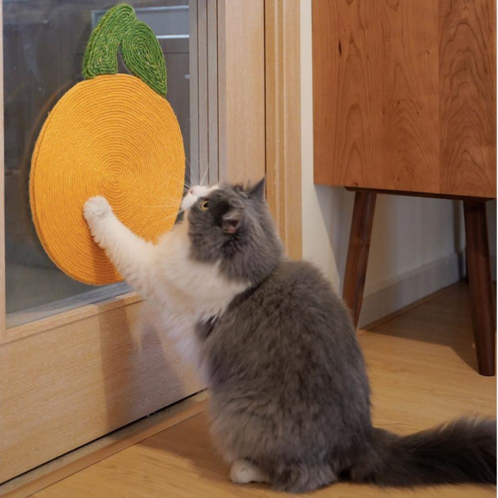 벽스크래쳐 벽에 붙이는 수직스크래쳐 고양이스크레쳐