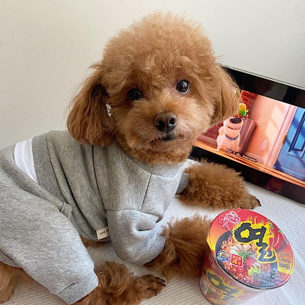 댕스기릿 강아지옷 레이어드 츄리닝 기모 올인원(3colors) S-2XL 강아지 트레이닝복