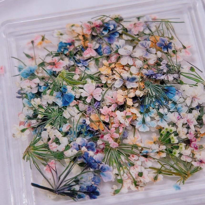 컬러믹스 생화네일