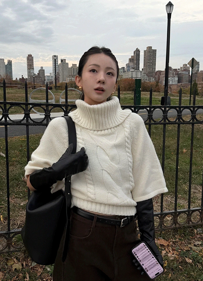 [Wool] Nerola turtleneck knit (2color)