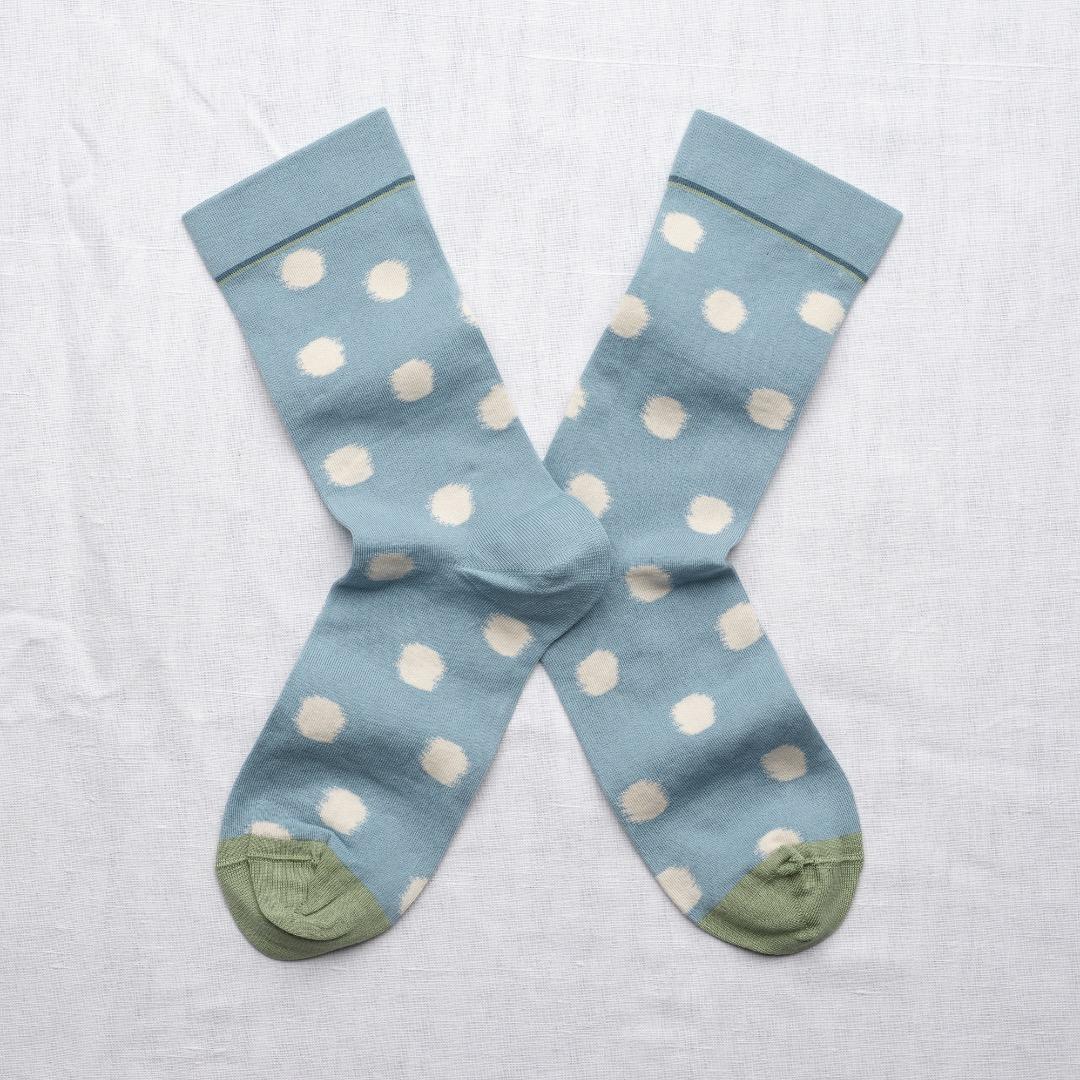 BMS RV201 Pois Bleue