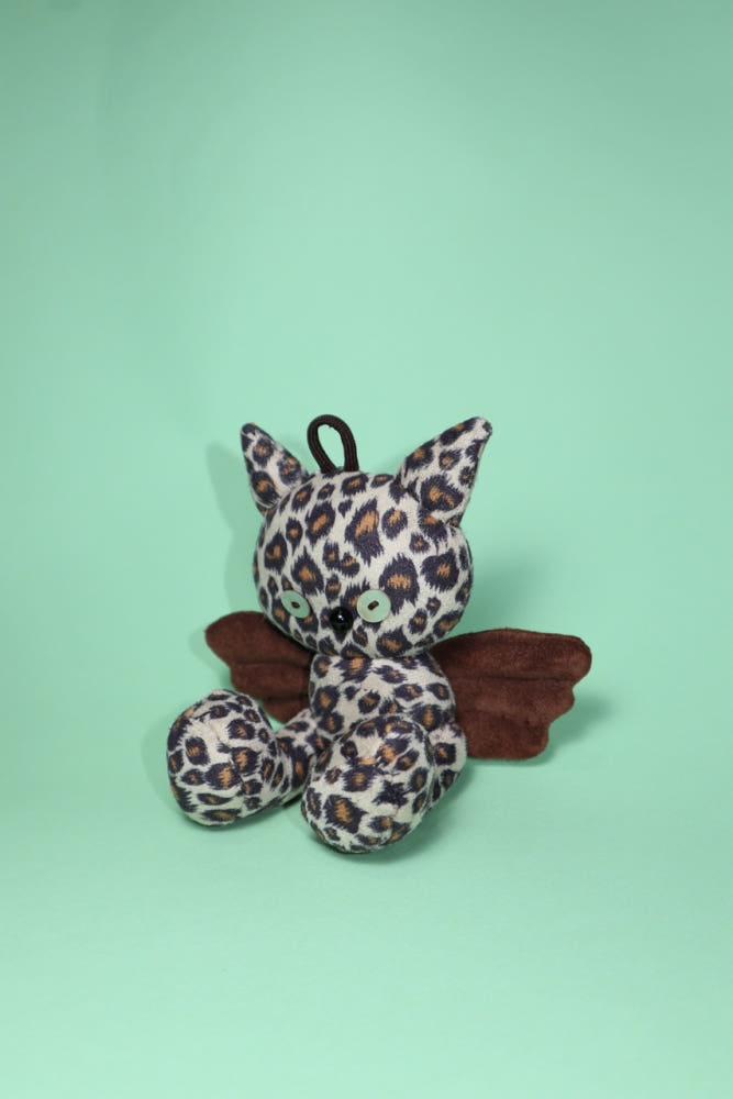 Coya keyring 13