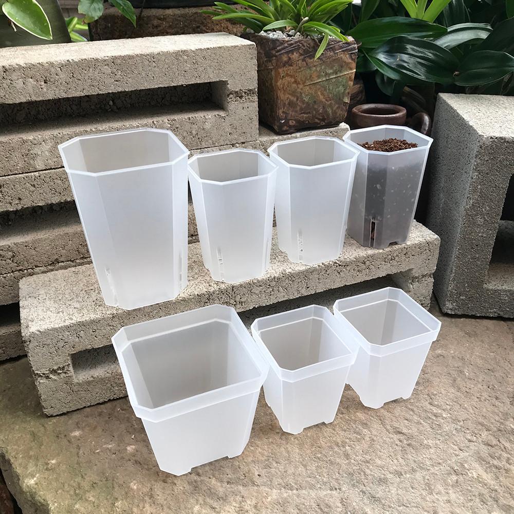 투명 사각 슬릿분 슬릿화분 투명분 플라스틱 화분 삽목 분갈이