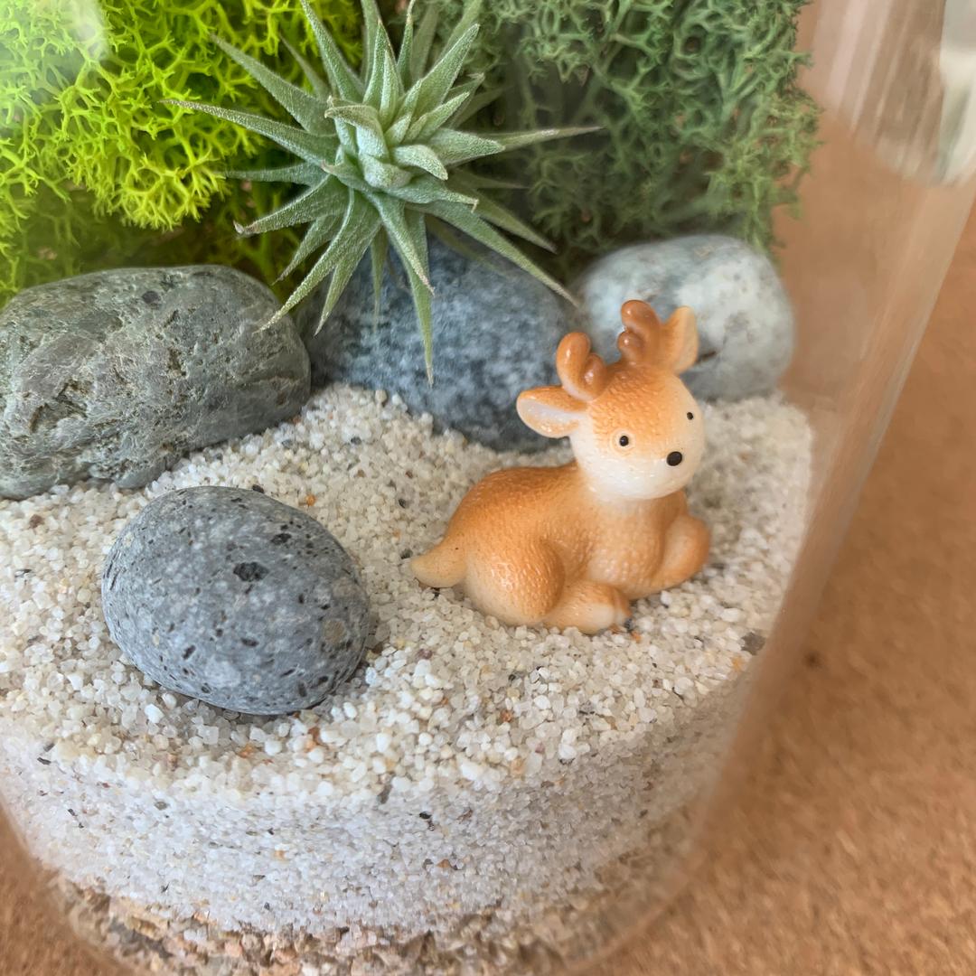 [테라리움] 아기 사슴