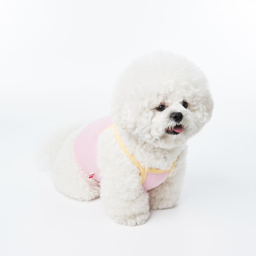 ORIGINAL VOLUME LOGO STAP CROP TOP-PINK(크롭탑)