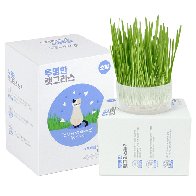 [1+1]유기농 캣그라스 흙없이 재배하는 수경재배 키트 소형