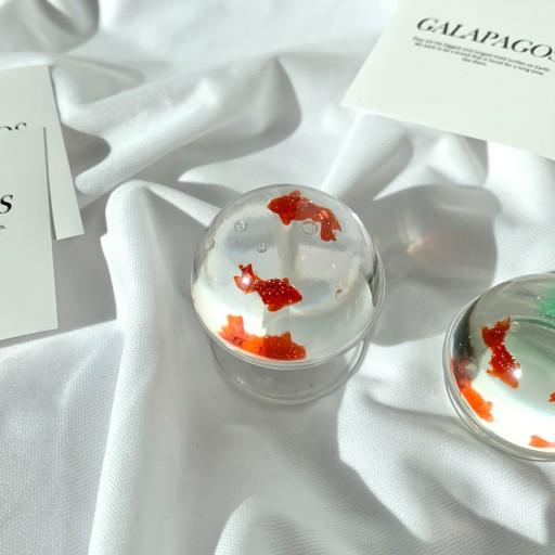 갈라파고스 어항 속 금붕어 그립스마트톡