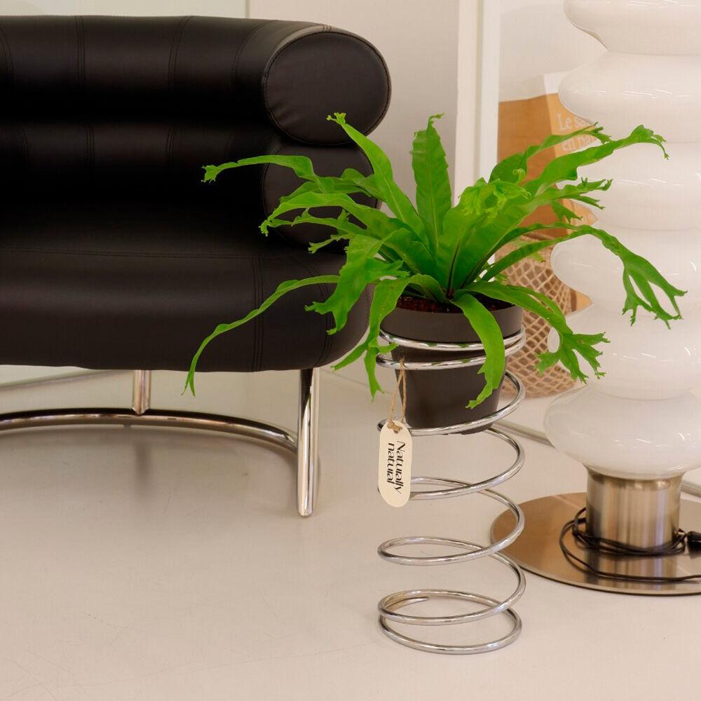 [내추럴리내추럴] Spring spring Large - CHROME