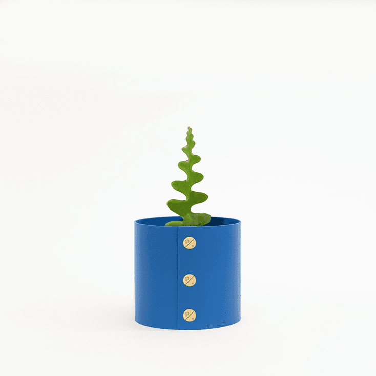 [플랫츠] 반려식물 플랜트 팟커버(화분커버) P + 생선뼈 선인장