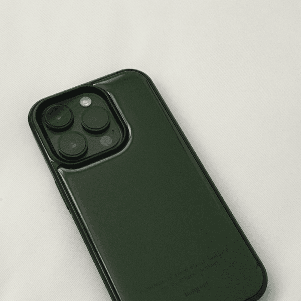 주문제작 / Green carrot case