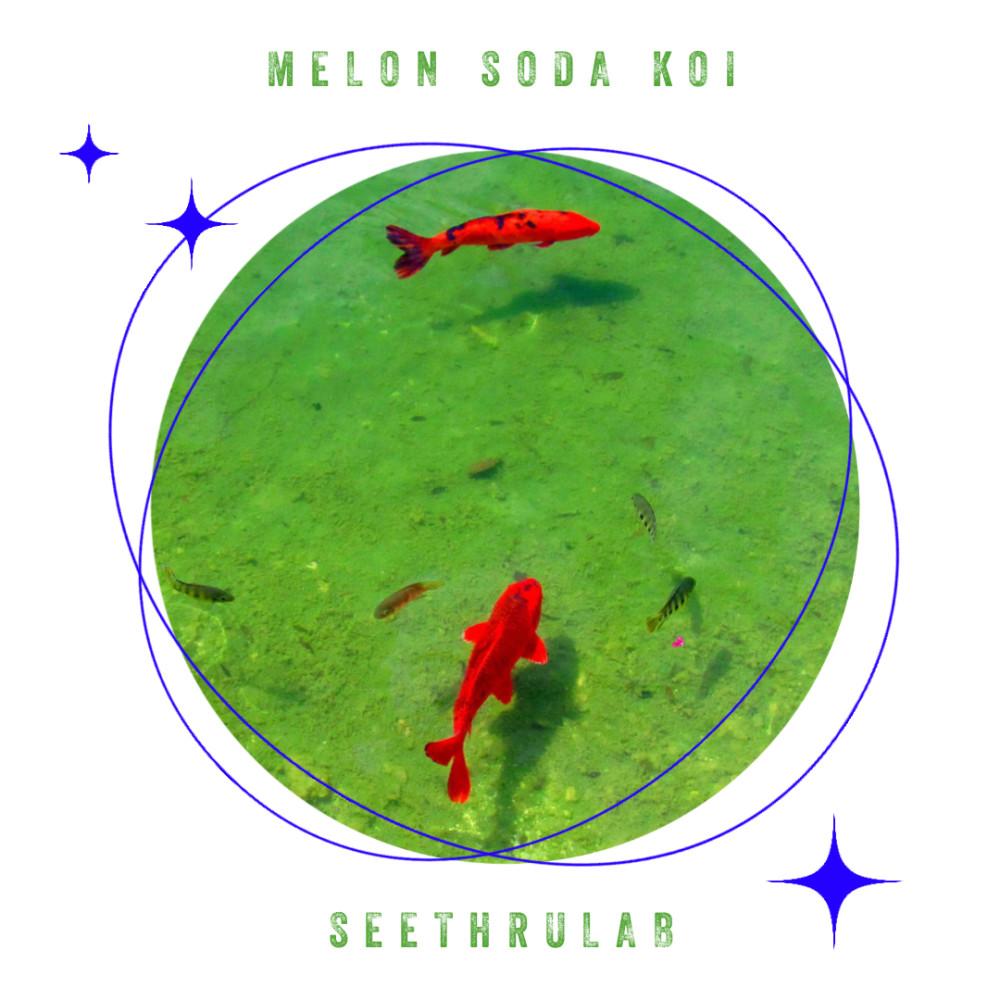 [씨스루랩] 메론소다 코이 마우스패드