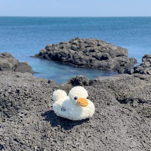 오리에어팟케이스/오리버즈케이스