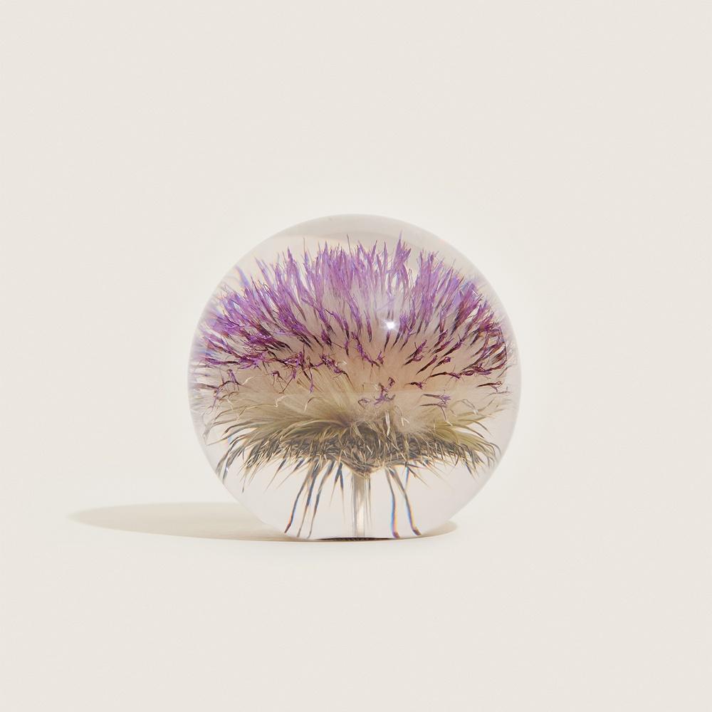 [Hafod Grange] Open Thistle Paperweight - Large