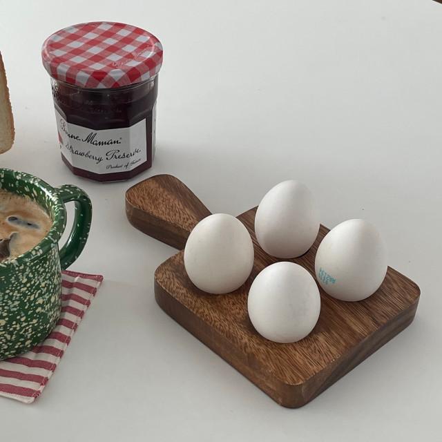 우드 에그 트레이